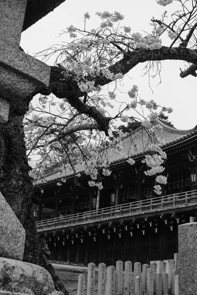 東大寺二月堂（奈良）