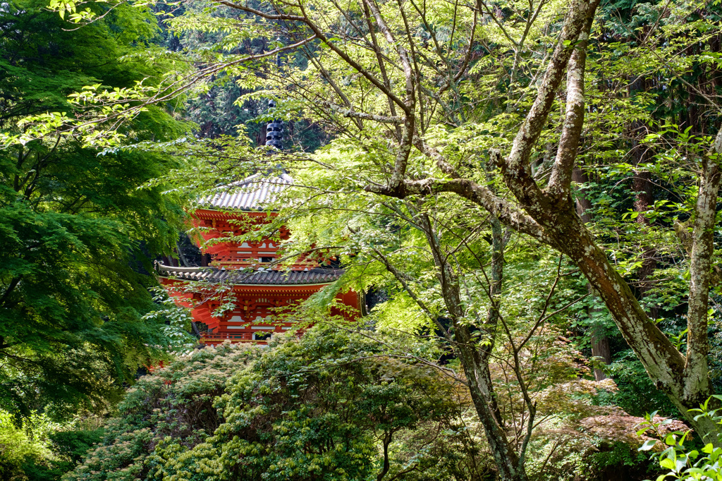 岩船寺（京都府木津川市）