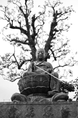 真光寺(兵庫県神戸市兵庫区)