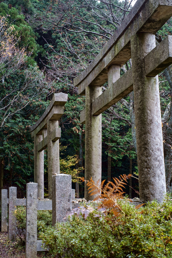 二ツ鳥居　高野山町石道（和歌山）