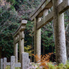 二ツ鳥居　高野山町石道（和歌山）
