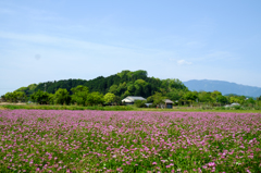 甘樫丘（奈良県明日香村）