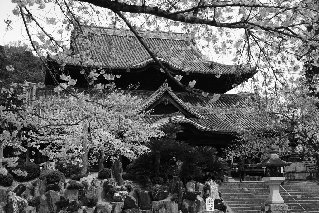 粉河寺本堂（和歌山）