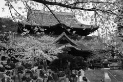 粉河寺本堂（和歌山）