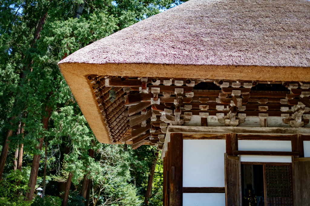 観心寺建掛塔（大阪府河内長野市）