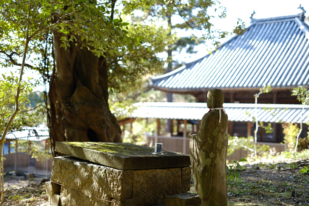 満願寺（兵庫県川西市）２