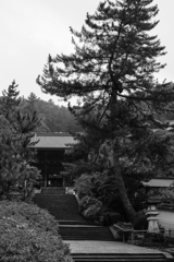 長谷寺仁王門（奈良）