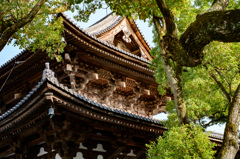 東寺金堂（京都）