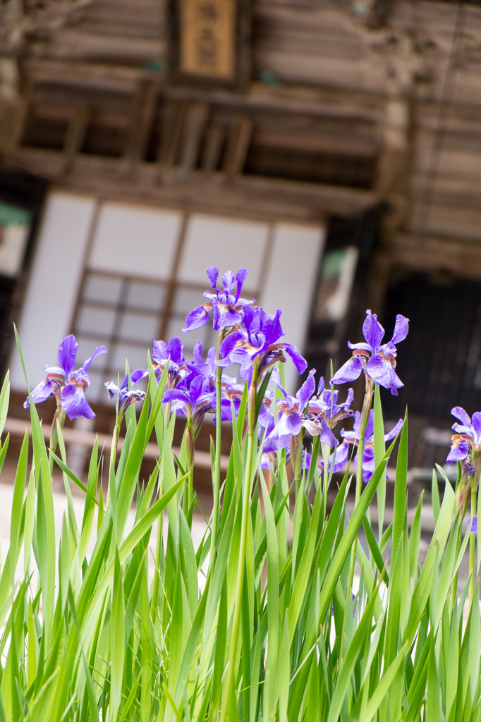 比叡山延暦寺浄土院