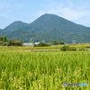 二上山（奈良県葛城市）