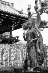 葛井寺（大阪府藤井寺市）