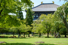 東大寺講堂跡（奈良）