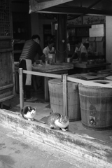 南塘老街（中国・寧波）