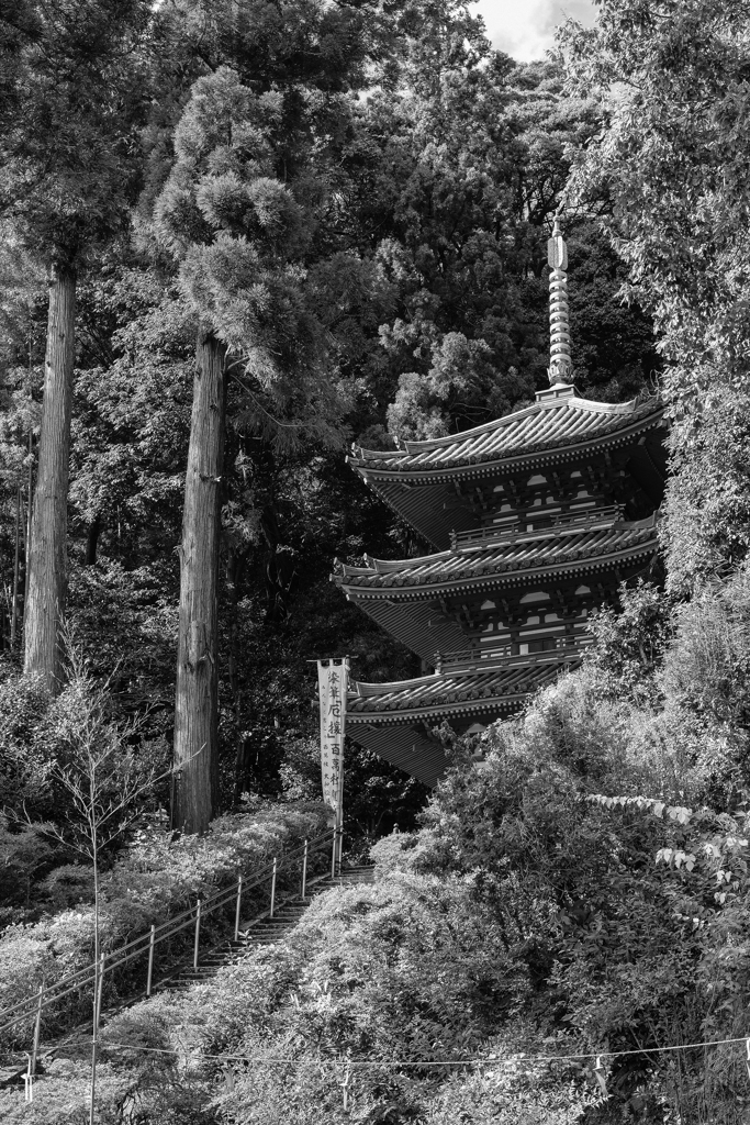 松尾寺（奈良県大和郡山市）