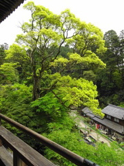 書寫山圓教寺摩尼殿より（兵庫）