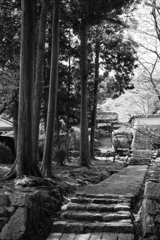 三井寺（滋賀大津）