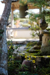 無動寺（兵庫県神戸市北区）
