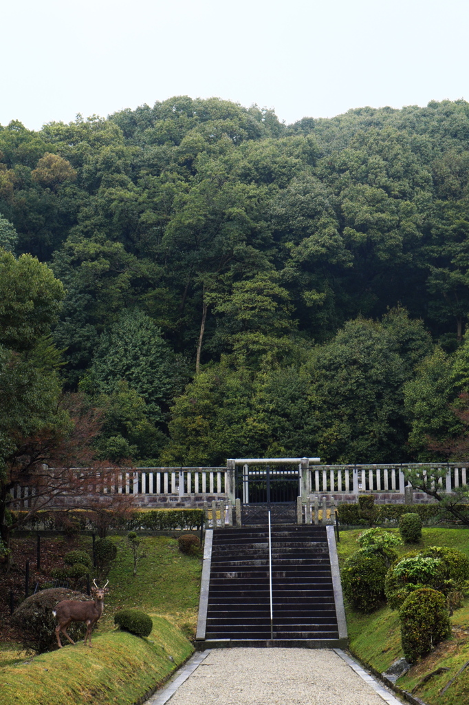 聖武天皇陵（奈良）