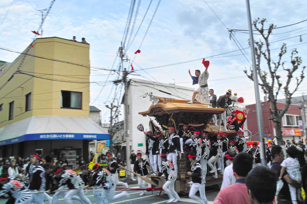 だんじり（大阪　和泉府中）