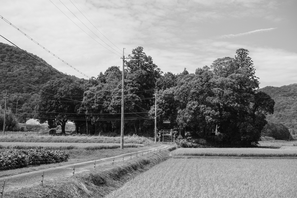 木津住吉神社（兵庫県丹波篠山市）