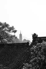 天童寺（中国・寧波）