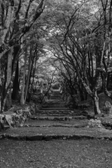 鶏足寺（滋賀県）