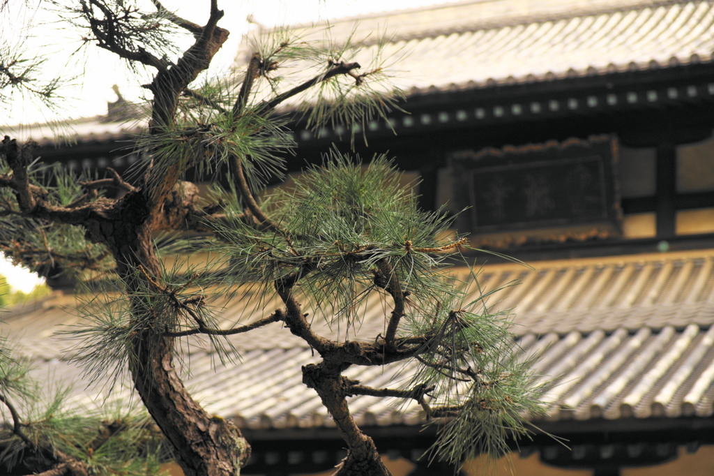 曹源寺（岡山）