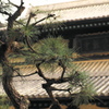 曹源寺（岡山）