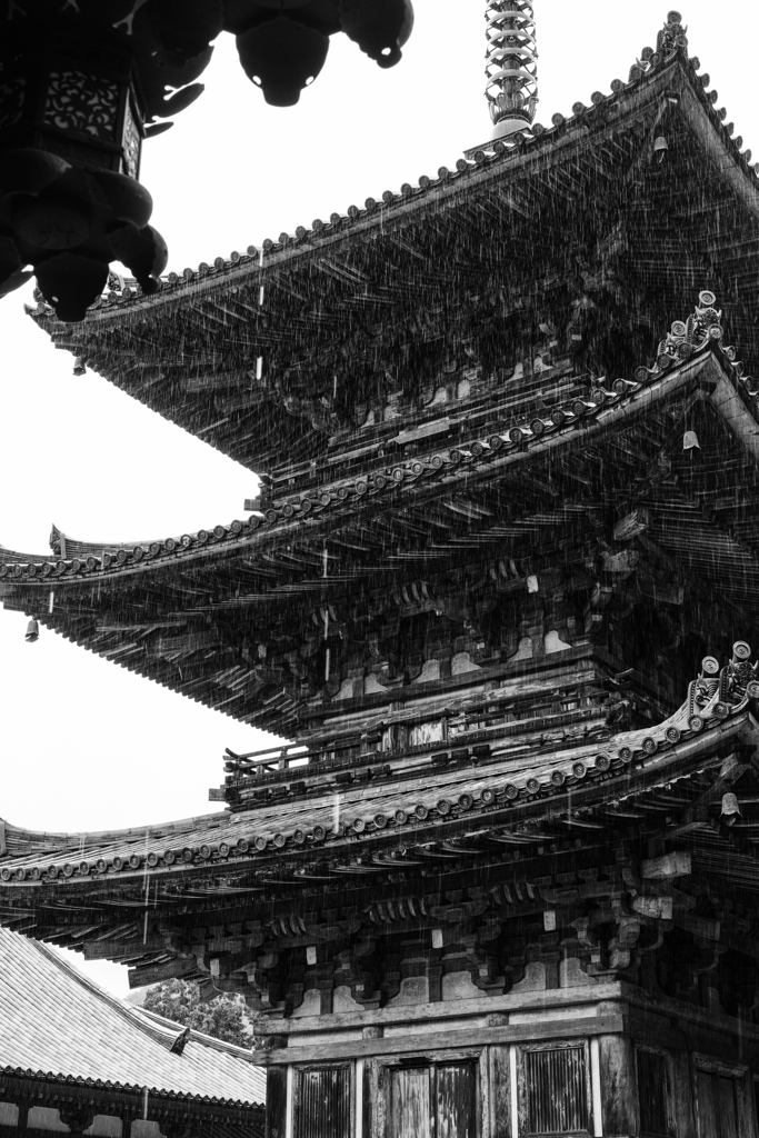 壷阪寺三重塔（奈良）