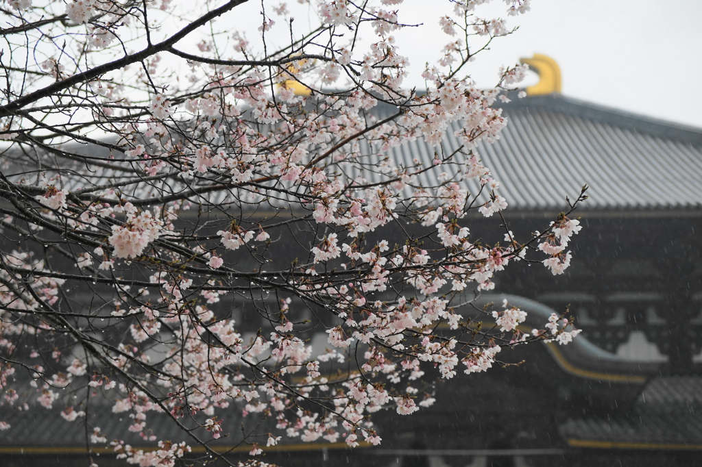 東大寺大仏殿（奈良）