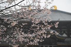 東大寺大仏殿（奈良）