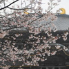 東大寺大仏殿（奈良）