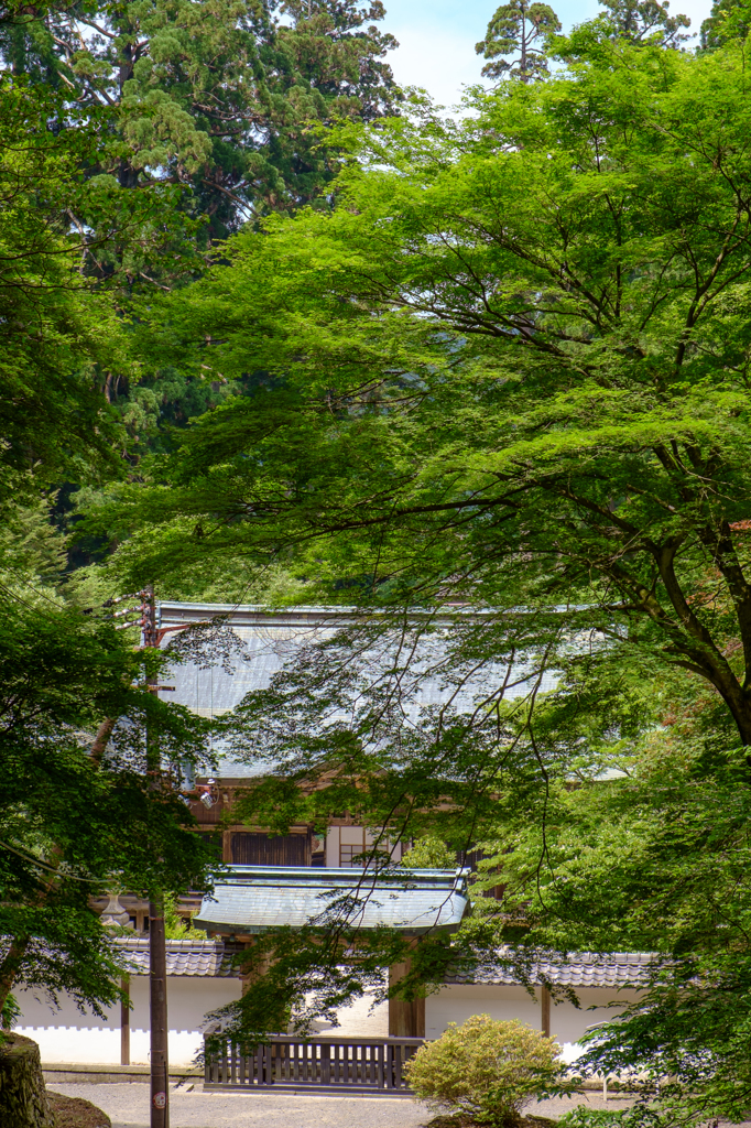 比叡山延暦寺浄土院 By Masat Id 写真共有サイト Photohito