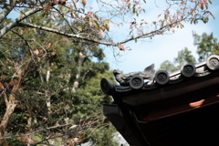 法隆寺西円堂裏（奈良）