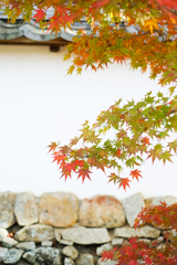 満願寺（兵庫県川西市）１