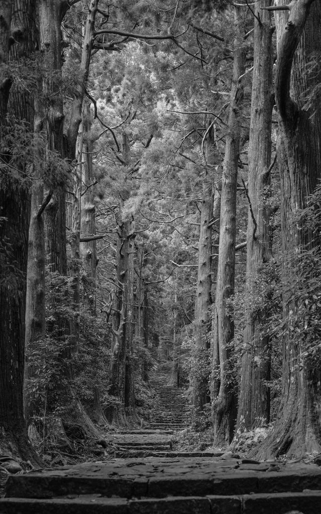 熊野古道大門坂（和歌山県那智勝浦町）