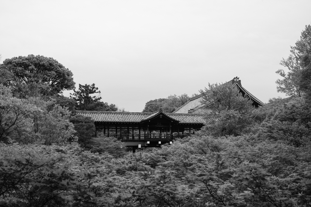 東福寺通天橋（京都市東山区）