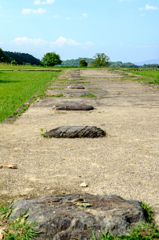 川原寺跡（奈良県明日香村）