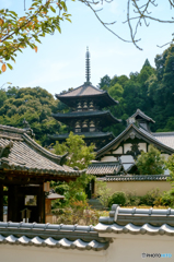 当麻寺（奈良県葛城市）