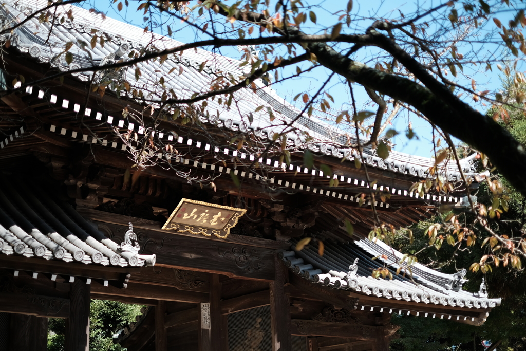 甲山大師神呪寺１（兵庫西宮）