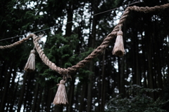 高天彦神社（奈良県御所市）