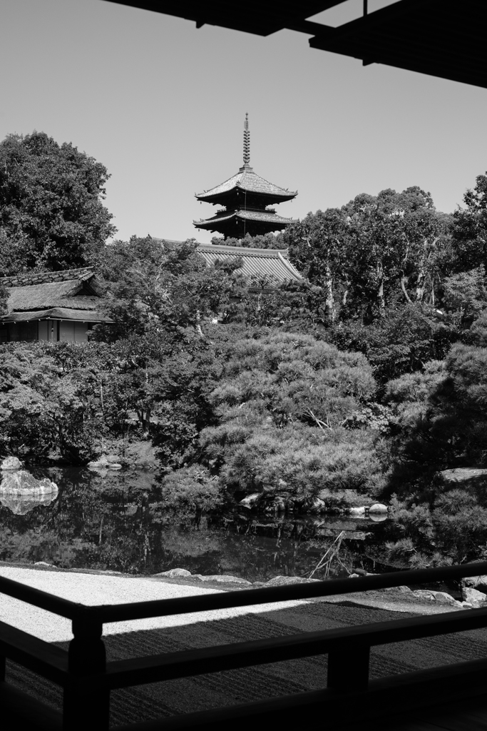 仁和寺御殿北庭（京都）