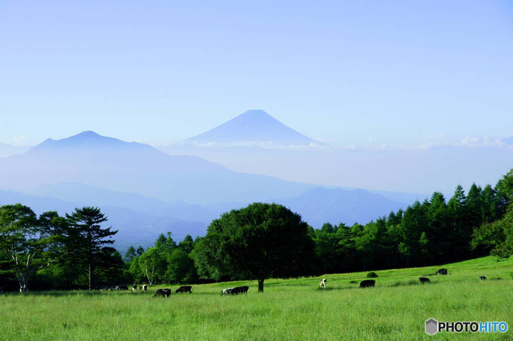 酪農山梨