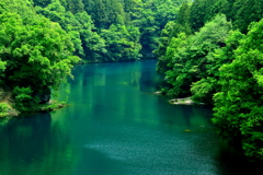 緑彩の情景