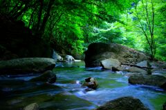 渓流の調べ