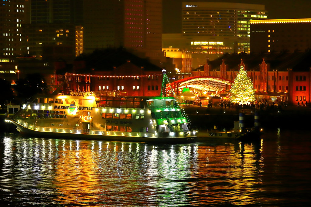夜のシーバス停