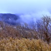 冬枯れの景