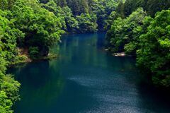 緑陰の清流