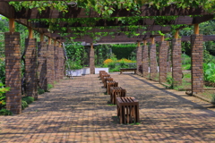 昼下がりの一時