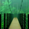 山の吊り橋